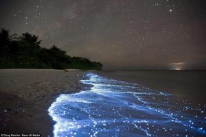 glowingtide-vaadhoo_maldives.jpg