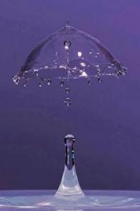 umbrellaraindrop.jpg