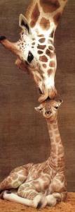 girafle4.jpg