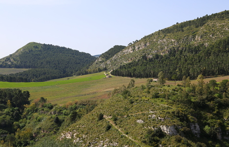 img_09512.jpg