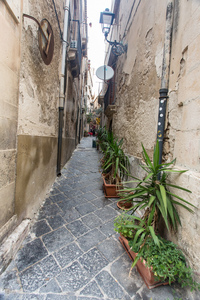 img_09997.jpg
