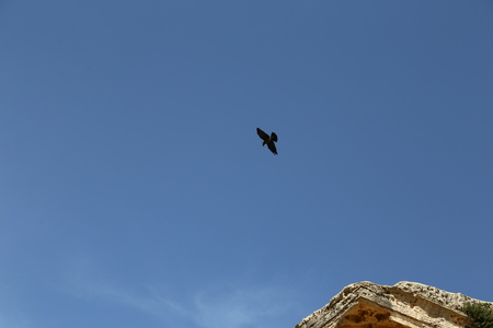 img_9501.jpg