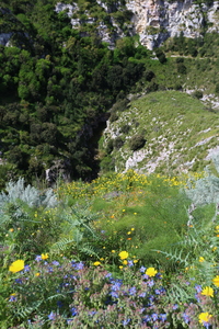 img_9519.jpg