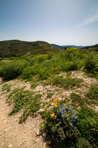 img_9548.jpg