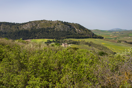 img_9564.jpg