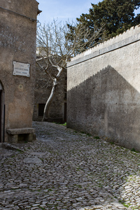 img_9565.jpg