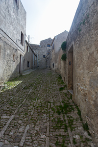 img_9593.jpg