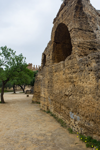 img_9731.jpg