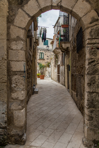 img_9899.jpg