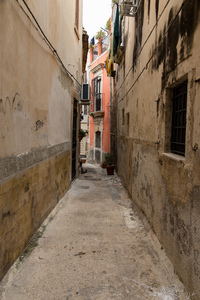 img_9906.jpg