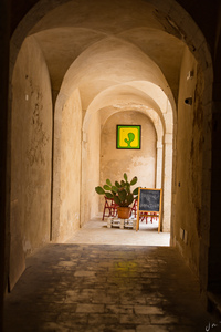 img_9947.jpg