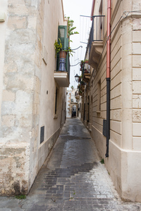 img_9986.jpg