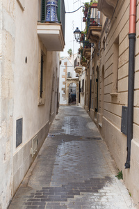 img_9987.jpg