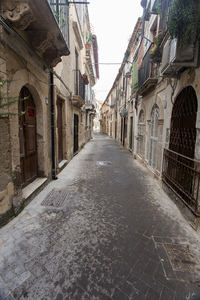 img_9991.jpg