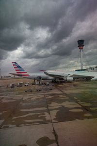 img_06113s.jpg