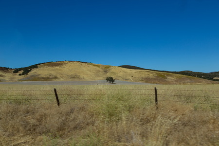 img_06470s.jpg