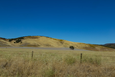 img_06471s.jpg