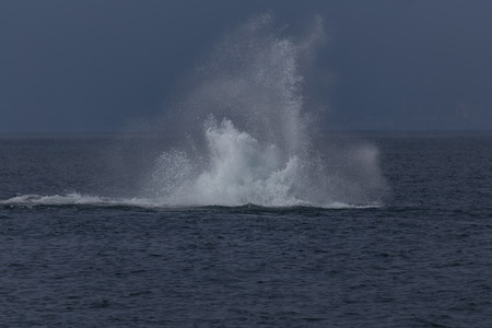img_06515s.jpg