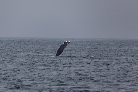 img_06540s.jpg