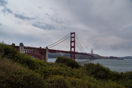 img_07131s.jpg