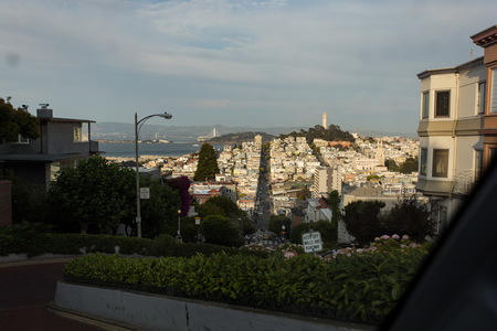 img_07237s.jpg