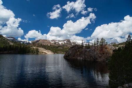 img_07522s.jpg