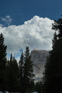img_07559s.jpg