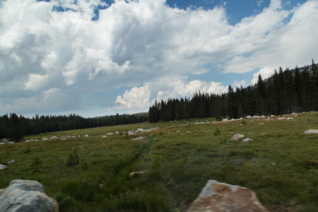 img_07560s.jpg