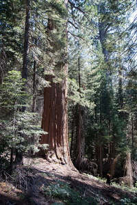 img_07606s.jpg