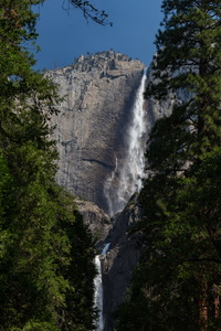 img_07706s.jpg