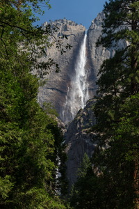 img_07707s.jpg