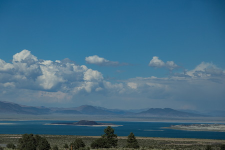 img_07760s.jpg