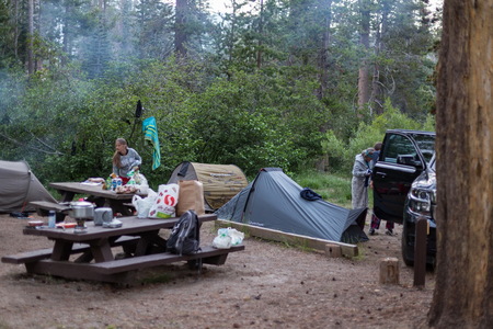 img_07800s.jpg