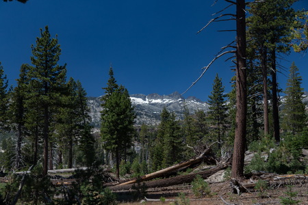 img_07809s.jpg