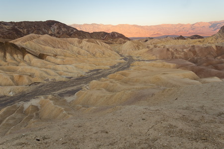 img_08031s.jpg