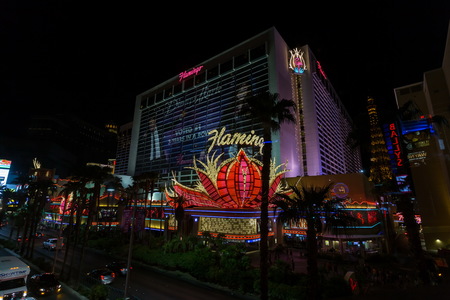 img_08159s.jpg