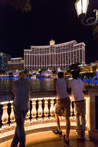 img_08194s.jpg