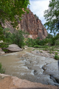 img_08368s.jpg