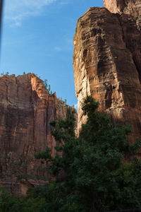 img_08385s.jpg