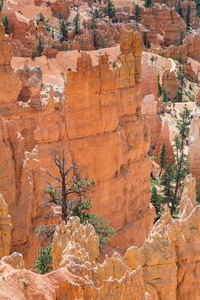 img_08526s.jpg