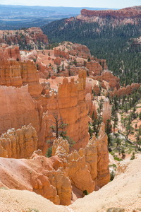 img_08528s.jpg