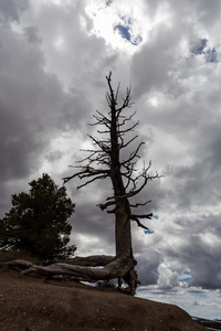 img_08660s.jpg