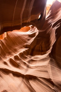 img_08760s.jpg
