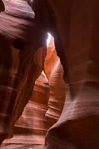 img_08763s.jpg