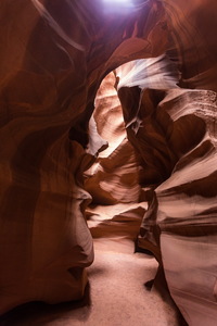 img_08768s.jpg