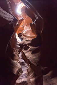 img_08785s.jpg