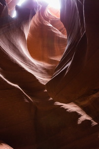 img_08795s.jpg