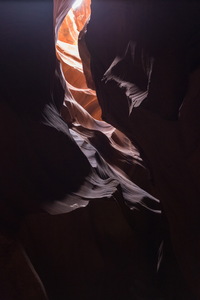 img_08800s.jpg