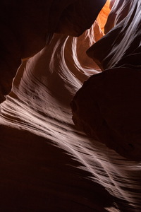 img_08812s.jpg