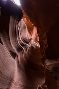 img_08860s.jpg
